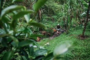 BIB: 
                            <button type="button" onclick="openModal(26200106)" class="btn btn-primary btn-sm float-right btn-popup" data-toggle="modal" data-target=".modal-high-quality">
                        <i class="fas fa-shopping-cart"></i> Add to Cart
                    </button>
                                            <button type="button" onclick="isThisMe(26200106, true)" class="btn btn-success btn-sm float-right btn-popup btn-isme hidden" data-toggle="tooltip" data-placement="bottom" title="นี่คือรูปของคุณใช่ไหม คลิกที่นี่เพื่อเอาเข้าอัลบั้ม">
                        <i class="fas fa-plus"></i> Add to album
                    </button>
                    <button type="button" onclick="isThisMe(26200106, false)" class="btn btn-warning btn-sm float-right btn-popup btn-isnotme hidden">
                        <i class="fas fa-ban"></i> Remove from album
                    </button>